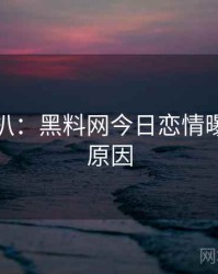 独家深扒：黑料网今日恋情曝光背后原因
