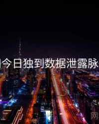 黑料网今日独到数据泄露脉络揭秘