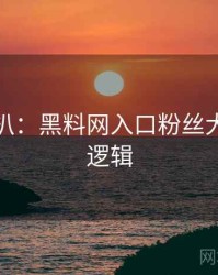独家深扒：黑料网入口粉丝大战热度逻辑