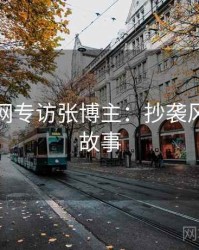 黑料官网专访张博主：抄袭风波幕后故事