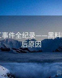 重磅网红事件全纪录——黑料网今日背后原因