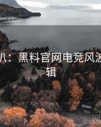 独家深扒：黑料官网电竞风波热度逻辑