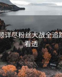 新91视频详尽粉丝大战全追踪，带你看透