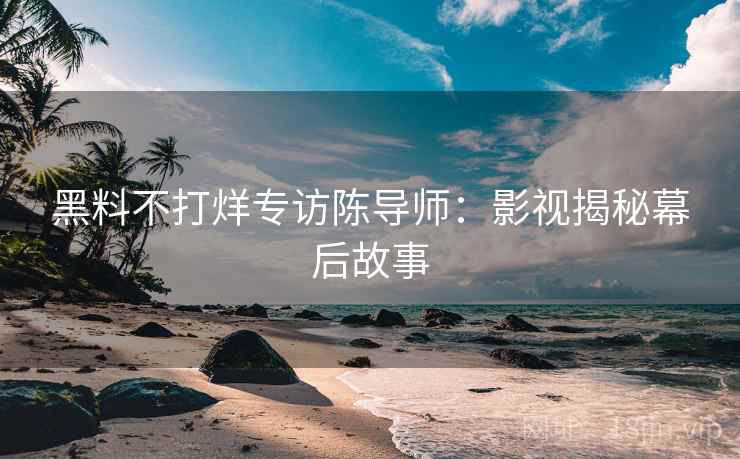 黑料不打烊专访陈导师：影视揭秘幕后故事