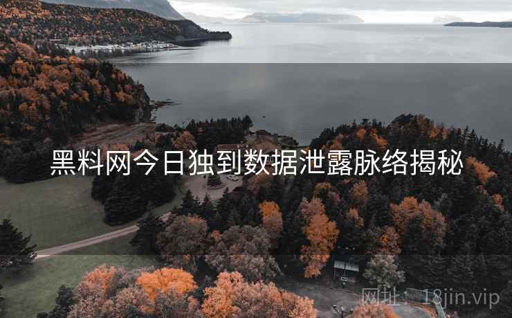 黑料网今日独到数据泄露脉络揭秘