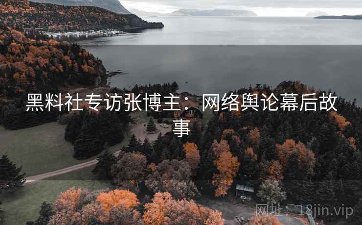 黑料社专访张博主：网络舆论幕后故事