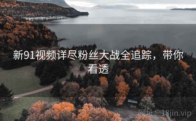 新91视频详尽粉丝大战全追踪，带你看透