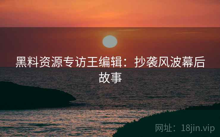 黑料资源专访王编辑：抄袭风波幕后故事